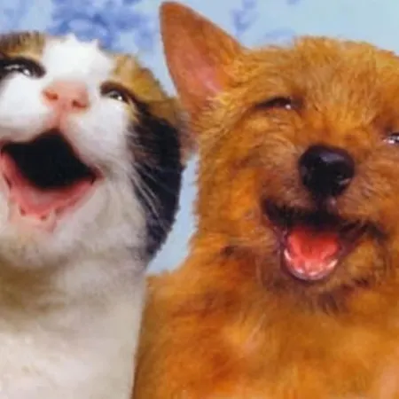 Dom wakacyjny 8 Person With Sauna *