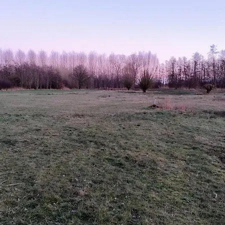 8 Person With Sauna *