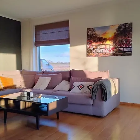 8 Person With Sauna Toldijk