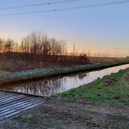 8 Person With Sauna Vakantiehuis