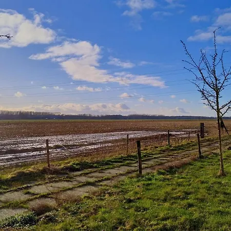 Dom wakacyjny 8 Person With Sauna *