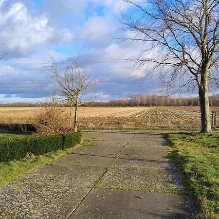 Vakantiehuis 8 Person With Sauna *