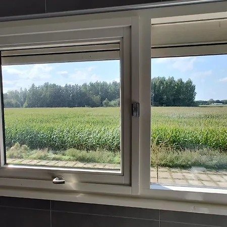 Vakantiehuis 8 Person With Sauna