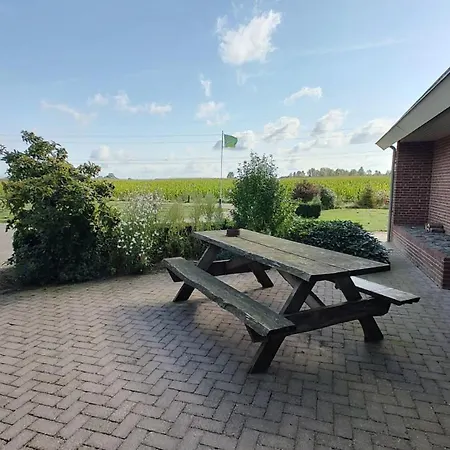 8 Person With Sauna Dom wakacyjny Toldijk