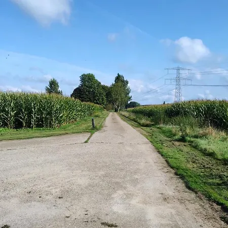 8 Person With Sauna Vakantiehuis