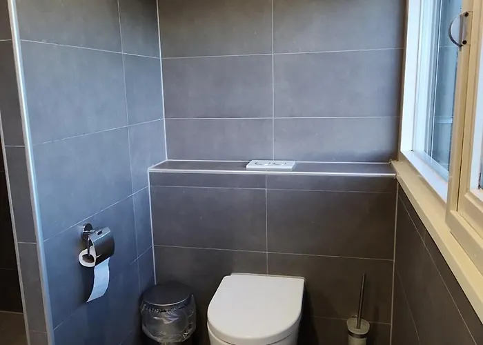 8 Person With Sauna Toldijk