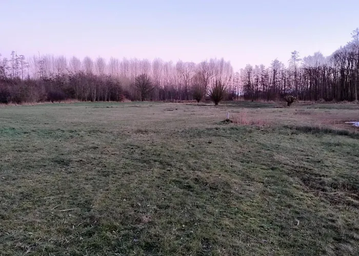 8 Person With Sauna *