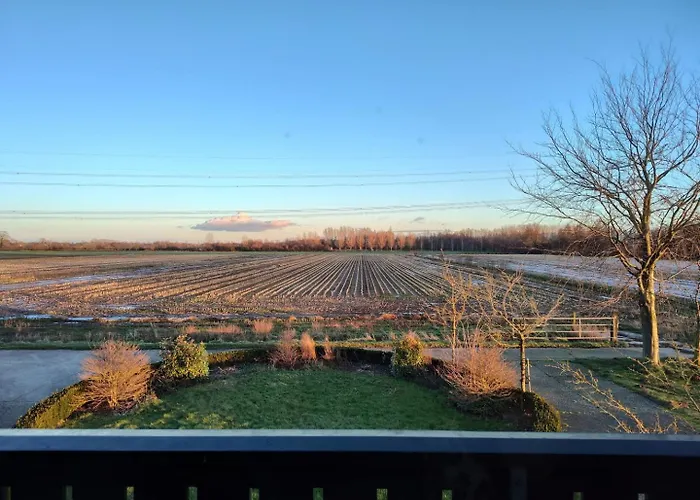 8 Person With Sauna * Toldijk