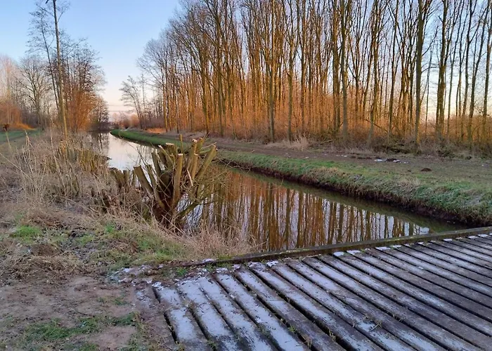 8 Person With Sauna *
