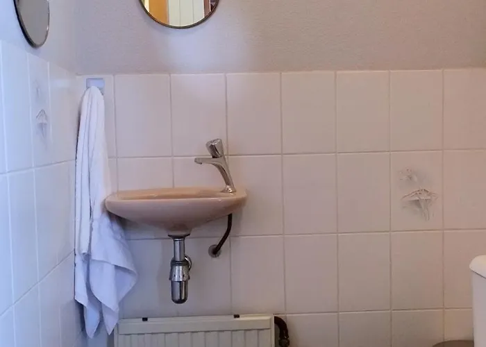 8 Person With Sauna Toldijk