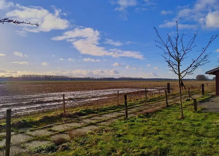 Feriehus 8 Person With Sauna *