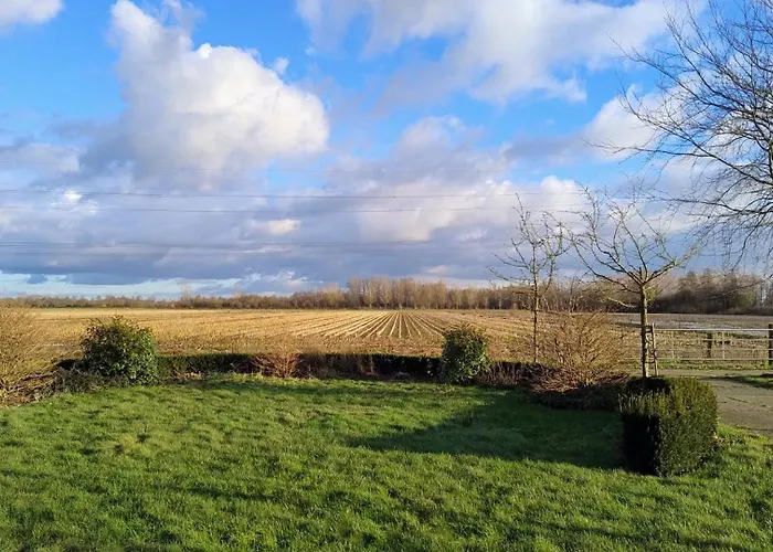 8 Person With Sauna Feriehus *