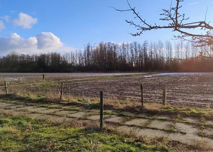 Feriehus 8 Person With Sauna Toldijk