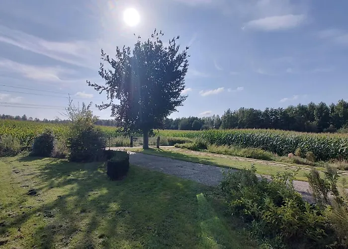 8 Person With Sauna Feriehus Toldijk