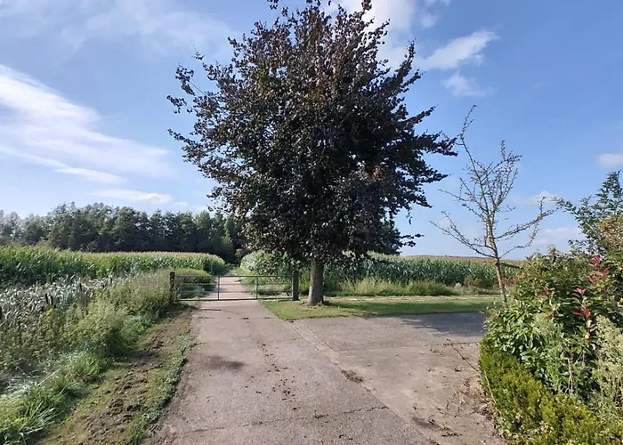 Feriehus 8 Person With Sauna Toldijk